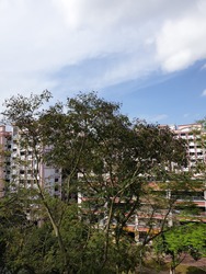 Blk 617 Choa Chu Kang North 7 (Choa Chu Kang), HDB 4 Rooms #192957752